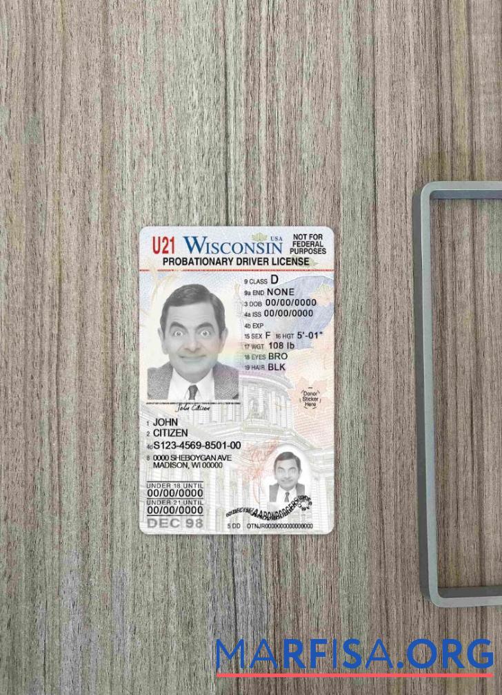 Realistic USA Wisconsin driving license under 21 photolook example